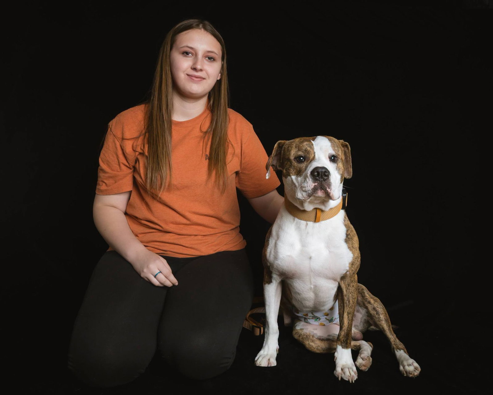 Titan, a young male Bullmastiff Mix